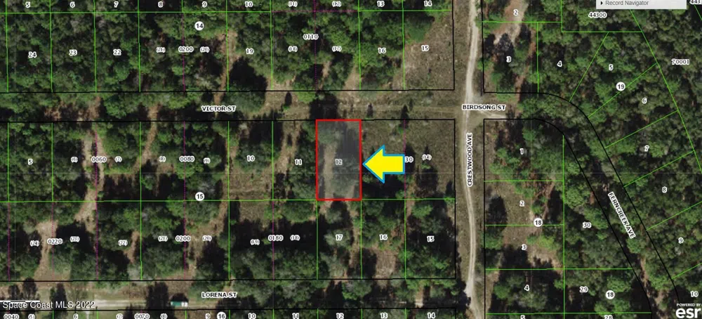 1905 Victor Street Inverness, FL 