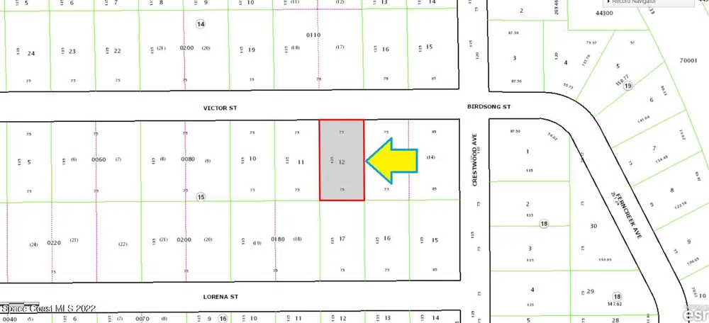 1905 Victor Street Inverness, FL 