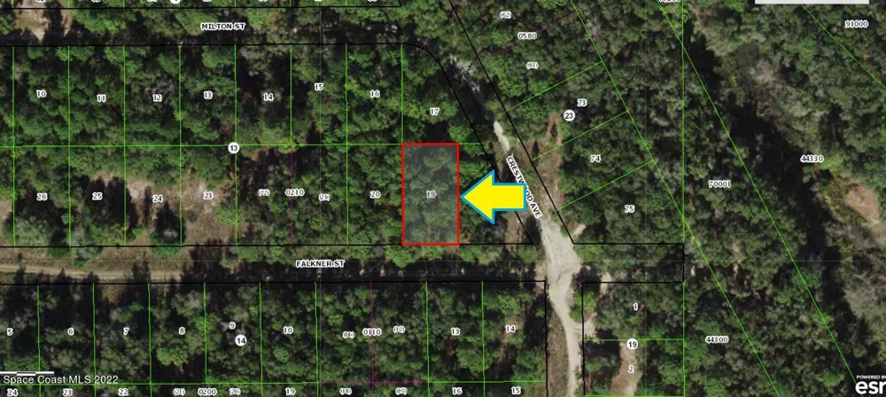 1902 Falkner Street Inverness, FL 