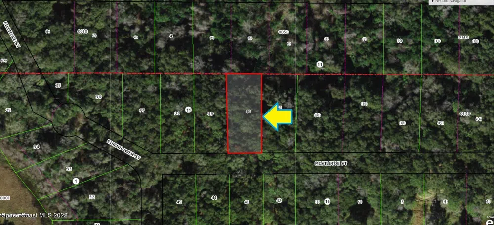2108 Mistletoe Street Inverness, FL 