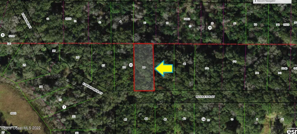 2110 Mistletoe Street Inverness, FL 