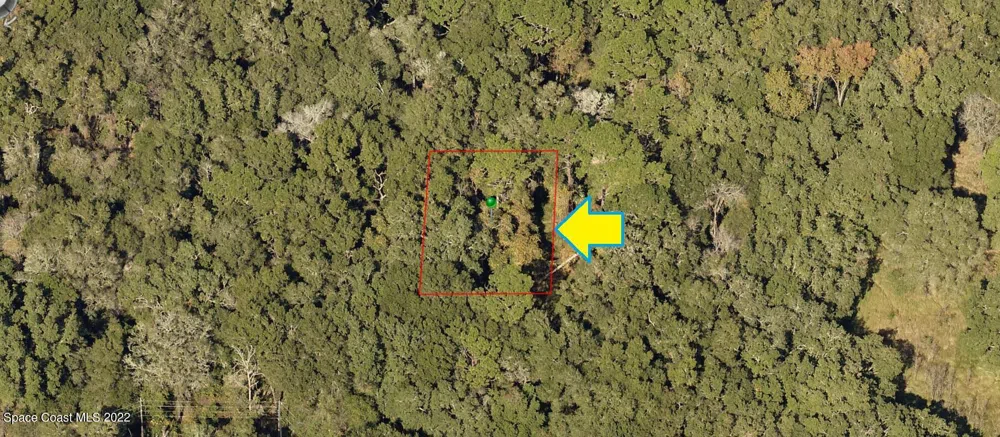 2107 Mistletoe Street Inverness, FL 