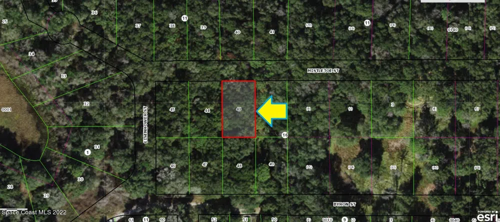 2107 Mistletoe Street Inverness, FL 