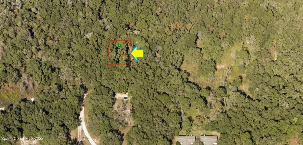 2107 Mistletoe Street Inverness, FL 