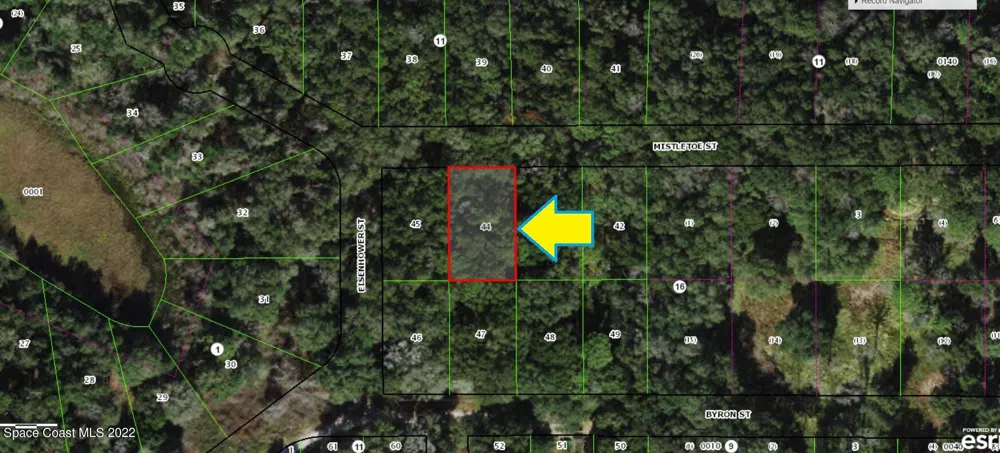 2109 Mistletoe Street Inverness, FL 