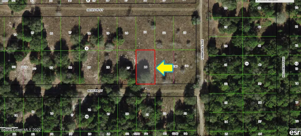 2306 Reagan Street Inverness, FL 