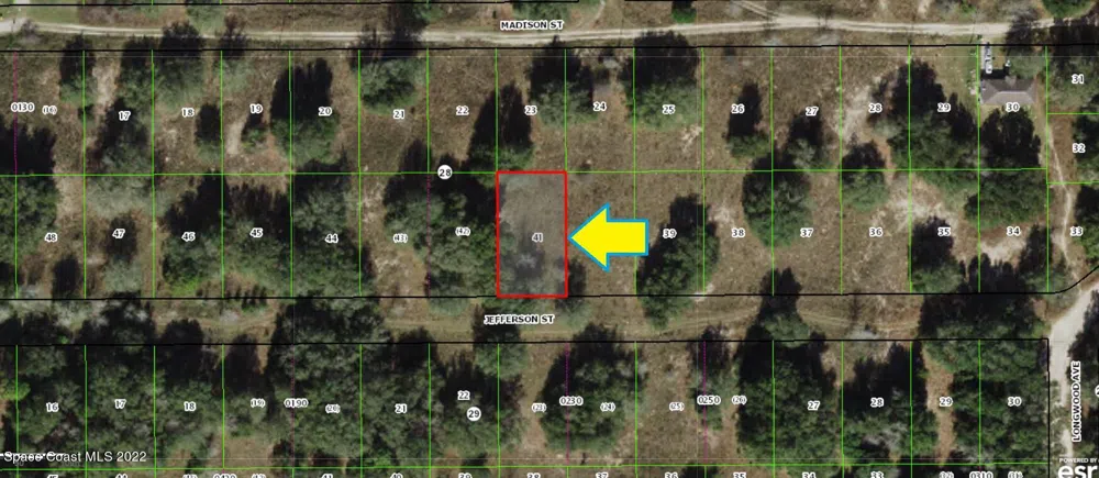 2218 Jefferson Street Inverness, FL 