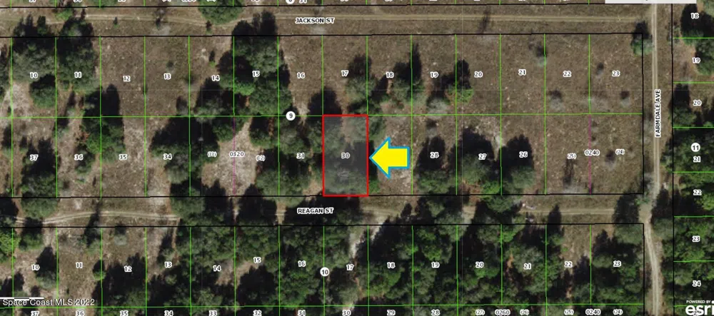 2314 Reagan Street Inverness, FL 