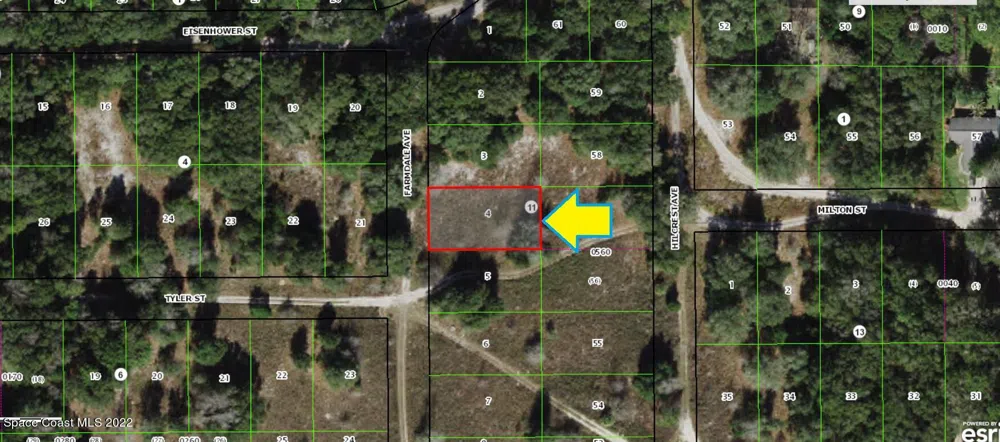 1108 Farmdale Avenue Inverness, FL 