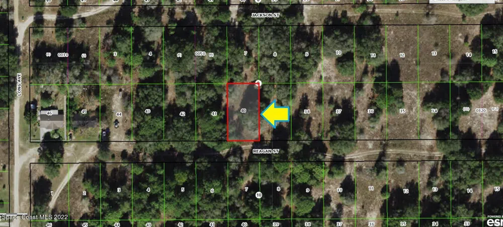 2510 Reagan Street Inverness, FL 