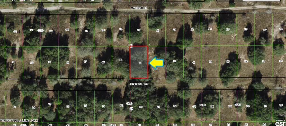 2308 Jefferson Street Inverness, FL 