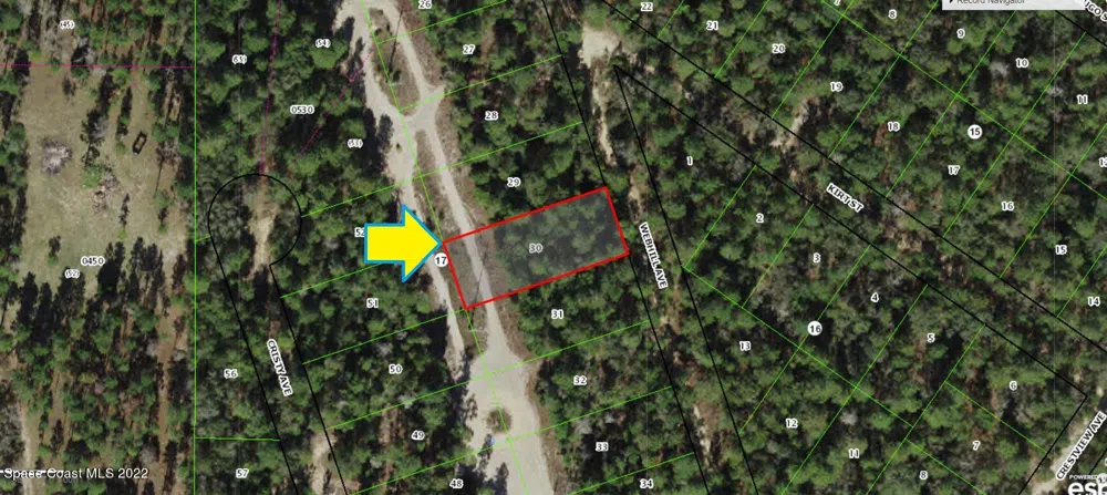 115 Webhill Avenue Inverness, FL 34452