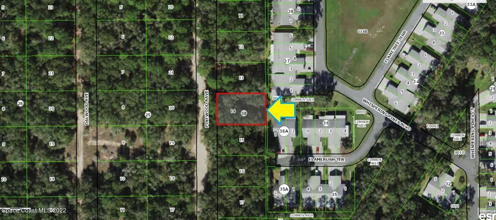 704 Pinewood Avenue Inverness, FL 