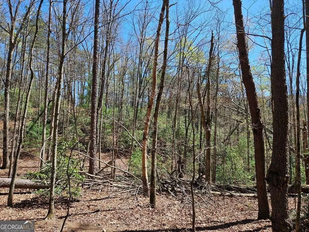 5.20 Deer Crest RD Blue Ridge, GA 30513