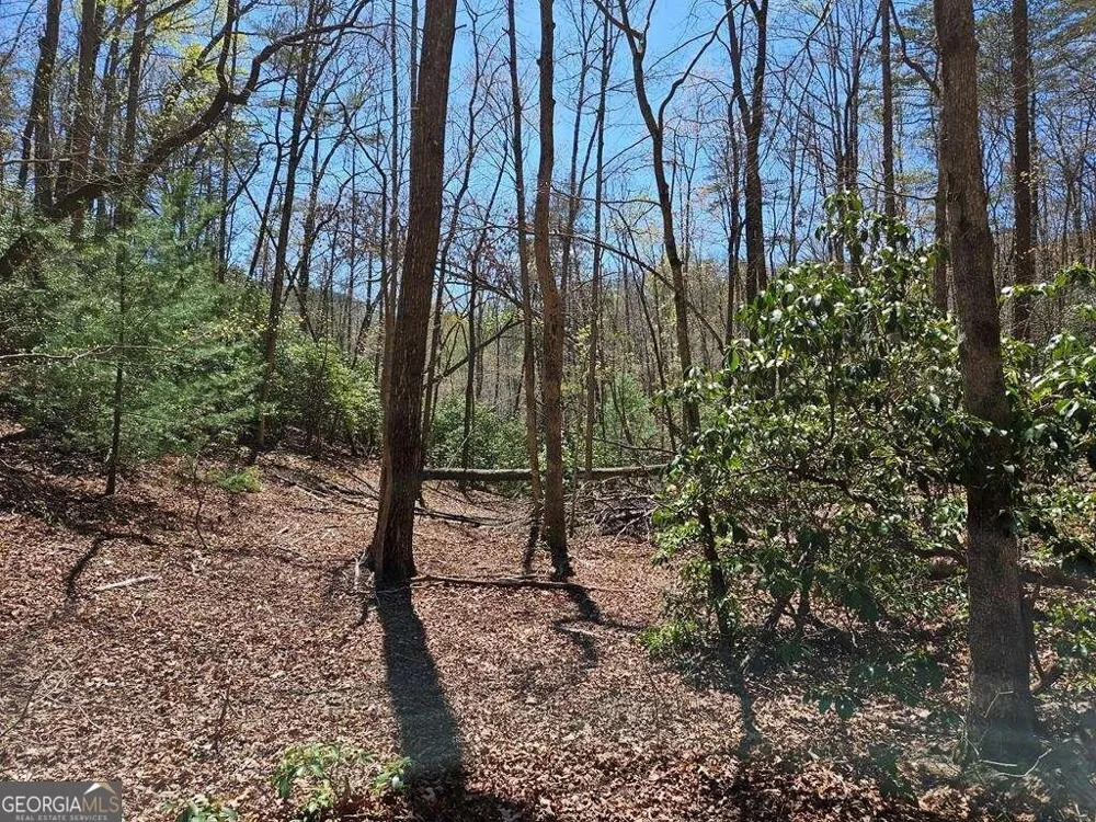 5.20 Deer Crest RD Blue Ridge, GA 30513