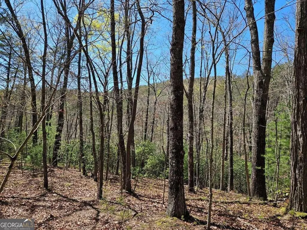 5.20 Deer Crest RD Blue Ridge, GA 30513