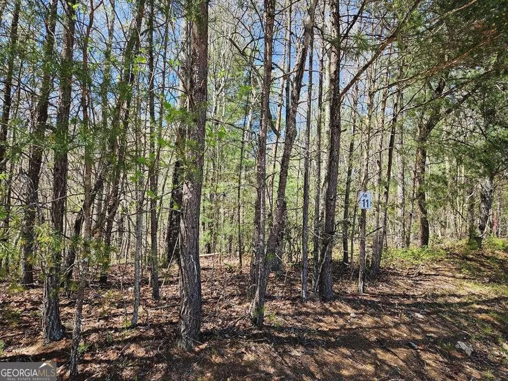 5.20 Deer Crest RD Blue Ridge, GA 30513