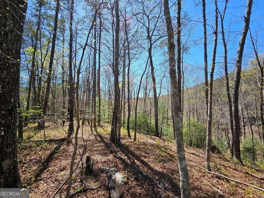 5.20 Deer Crest RD Blue Ridge, GA 30513