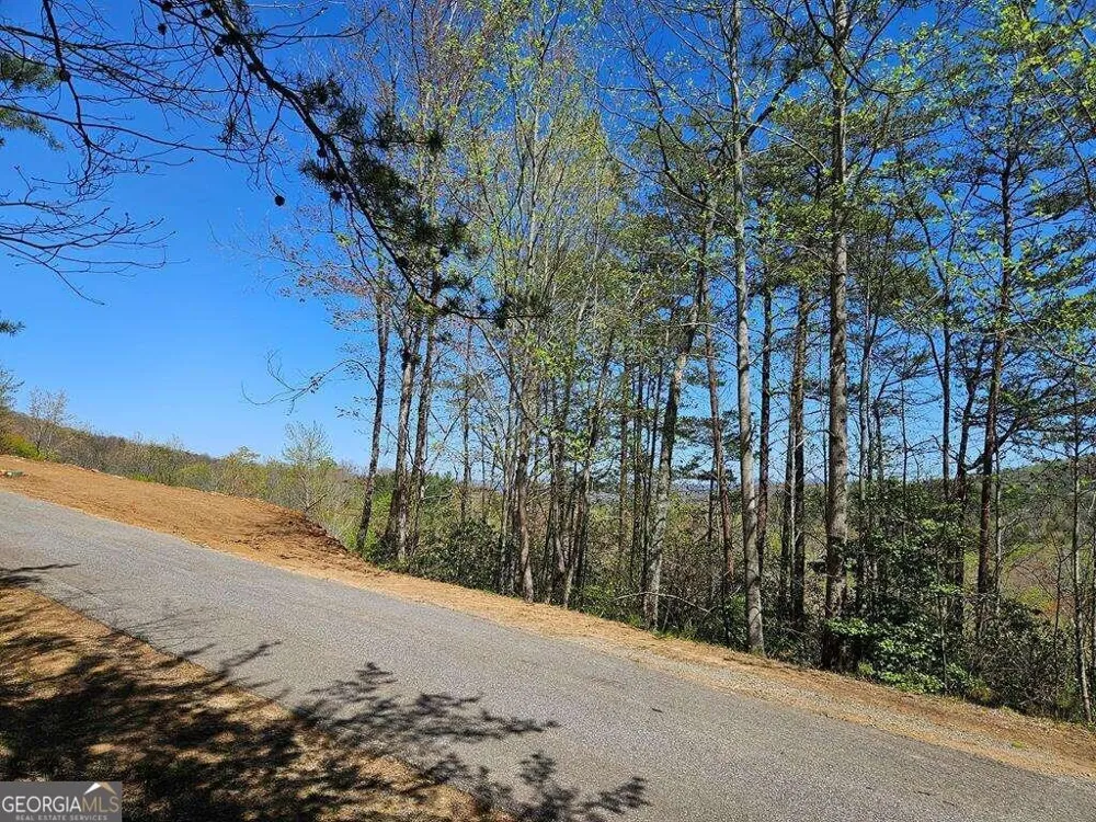 5.20 Deer Crest RD Blue Ridge, GA 30513
