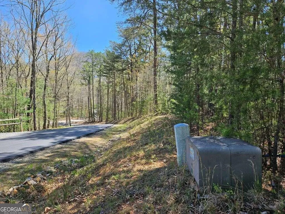 5.20 Deer Crest RD Blue Ridge, GA 30513