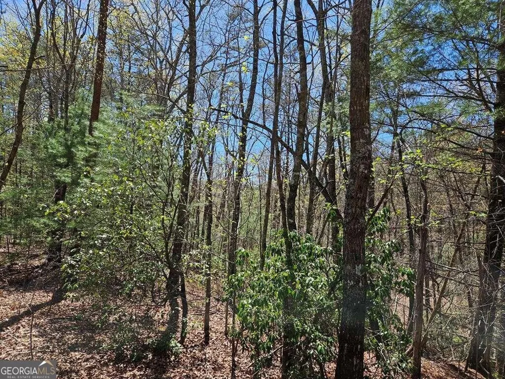 5.20 Deer Crest RD Blue Ridge, GA 30513