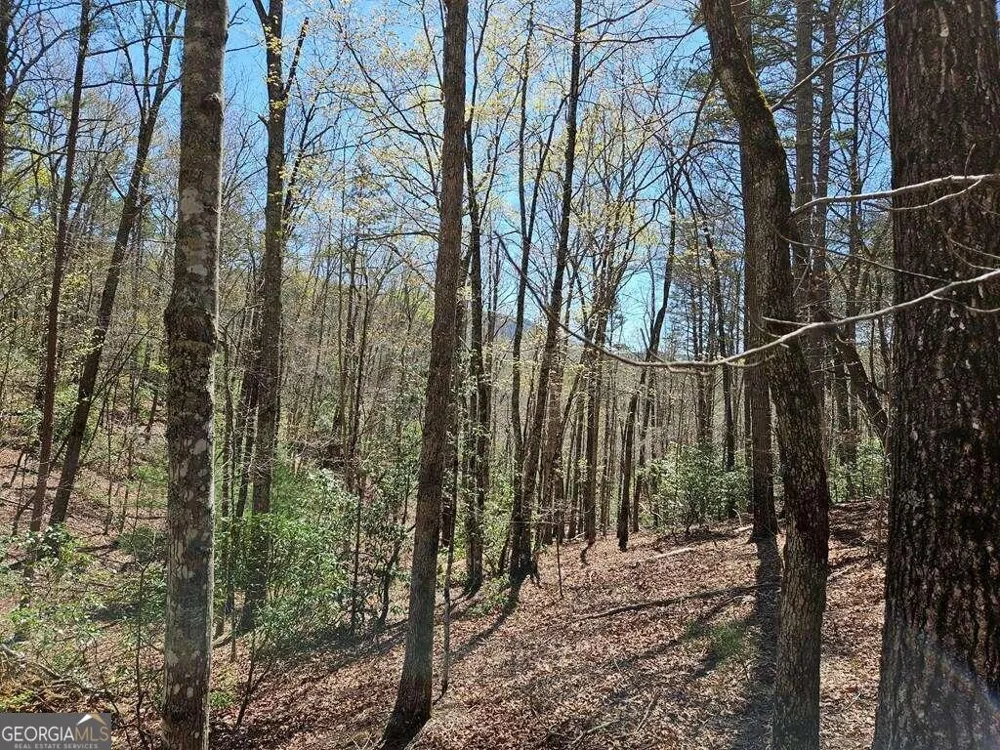 5.20 Deer Crest RD Blue Ridge, GA 30513