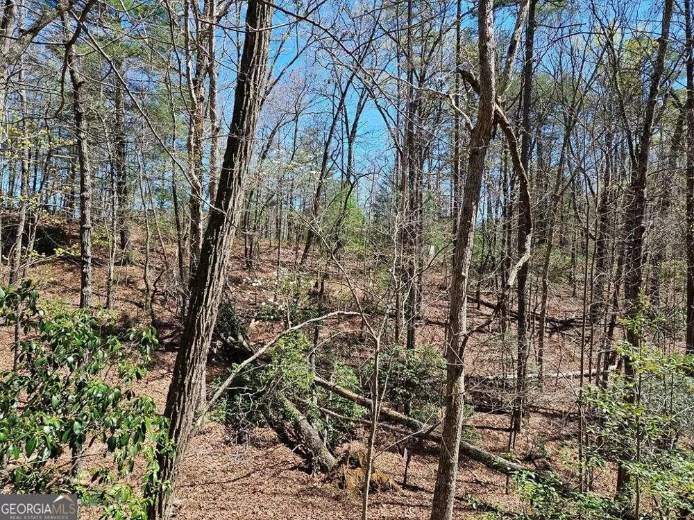 5.20 Deer Crest RD Blue Ridge, GA 30513