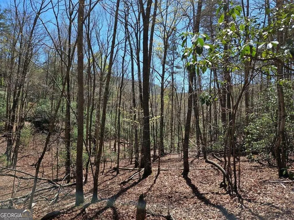 5.20 Deer Crest RD Blue Ridge, GA 30513