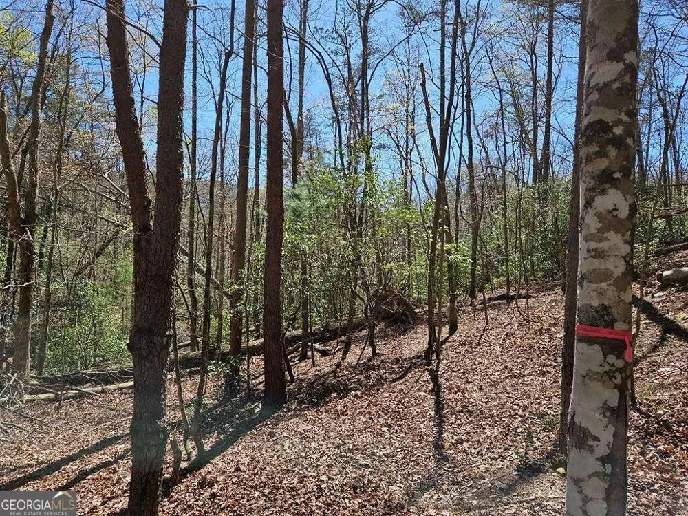 5.20 Deer Crest RD Blue Ridge, GA 30513