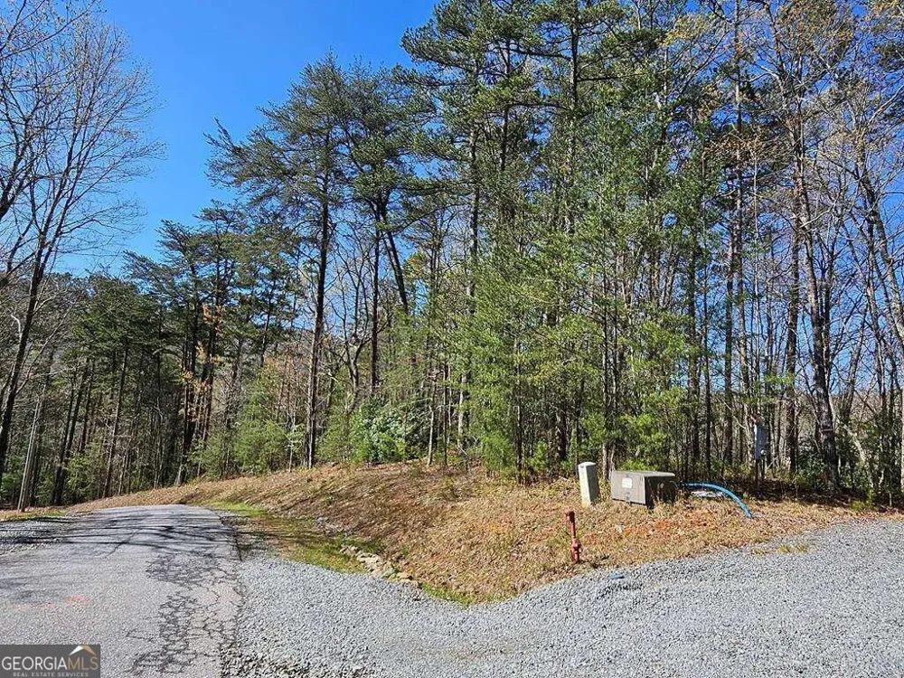5.20 Deer Crest RD Blue Ridge, GA 30513