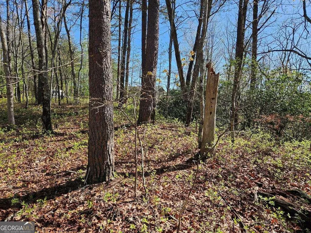 5.20 Deer Crest RD Blue Ridge, GA 30513