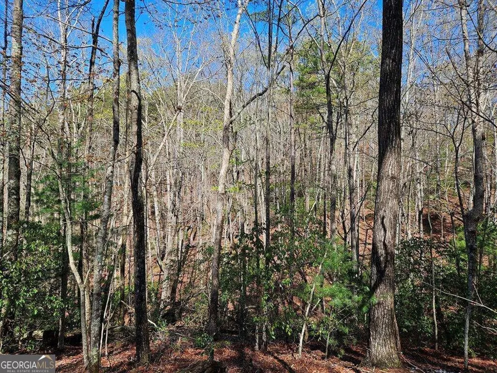 5.20 Deer Crest RD Blue Ridge, GA 30513