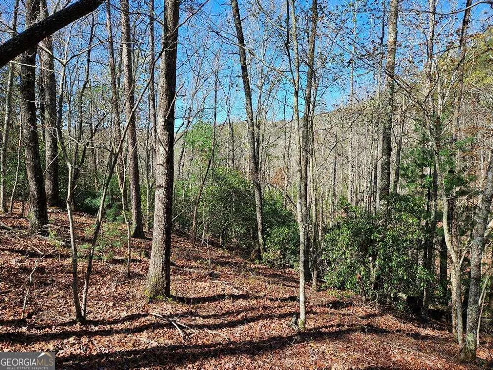 5.20 Deer Crest RD Blue Ridge, GA 30513