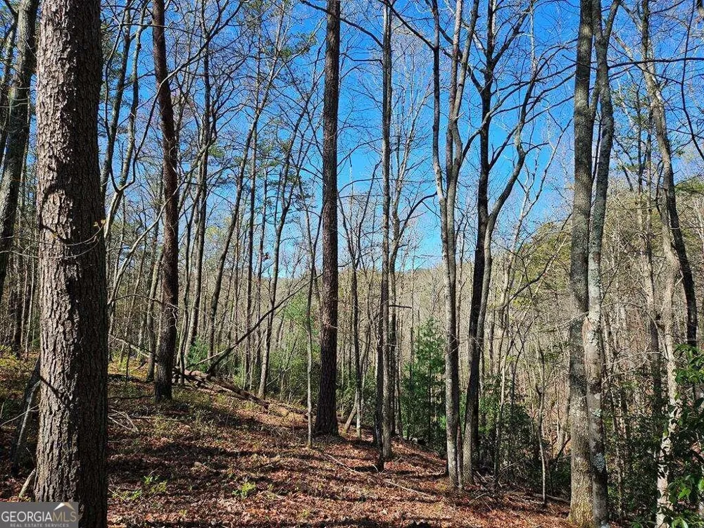 5.20 Deer Crest RD Blue Ridge, GA 30513