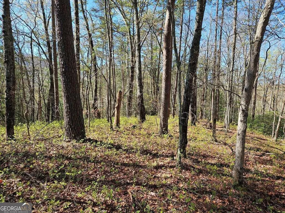 5.20 Deer Crest RD Blue Ridge, GA 30513