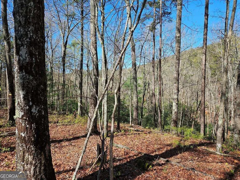 5.20 Deer Crest RD Blue Ridge, GA 30513