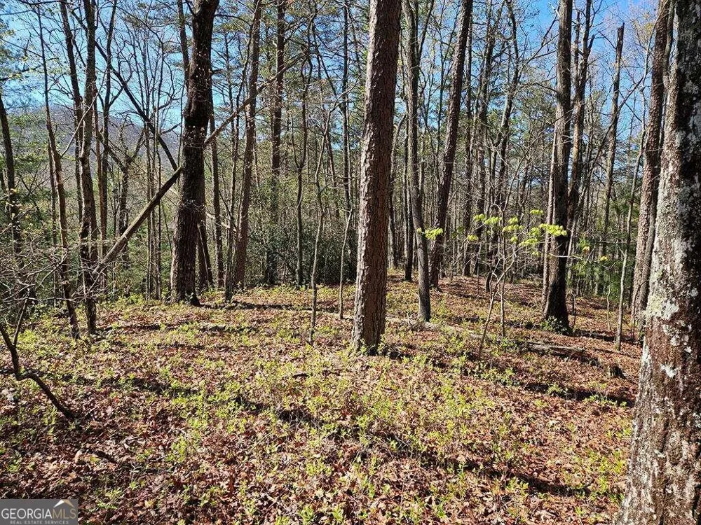 5.20 Deer Crest RD Blue Ridge, GA 30513