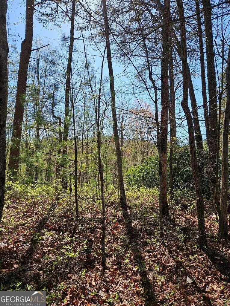 5.20 Deer Crest RD Blue Ridge, GA 30513