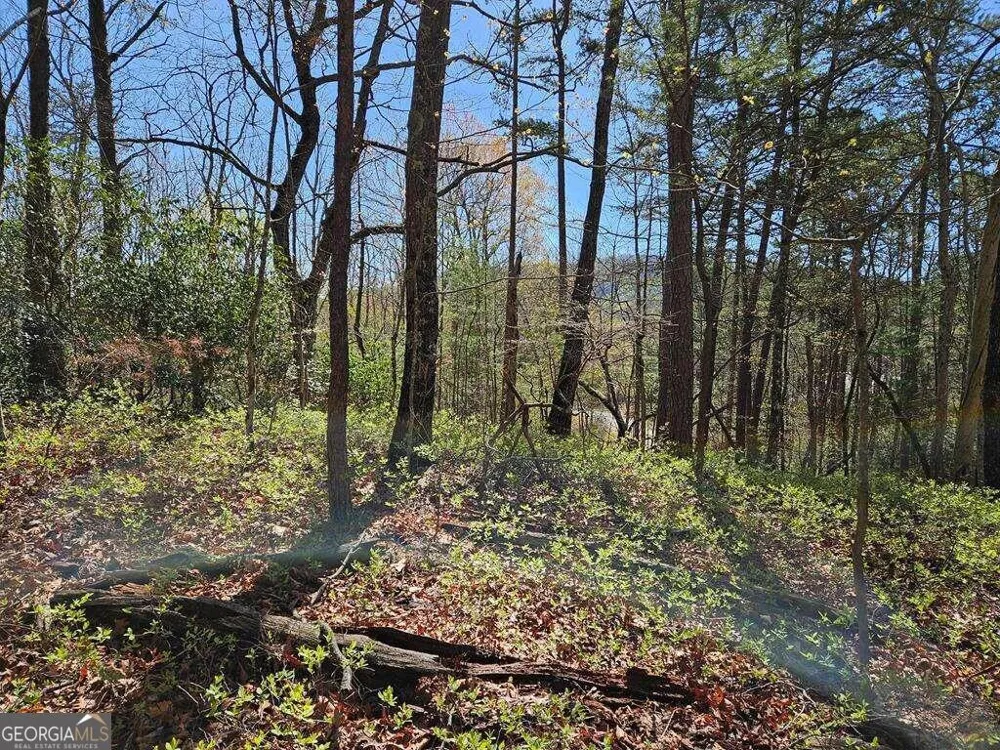 5.20 Deer Crest RD Blue Ridge, GA 30513
