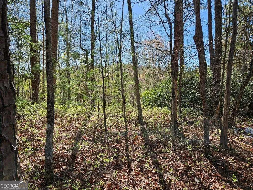 5.20 Deer Crest RD Blue Ridge, GA 30513