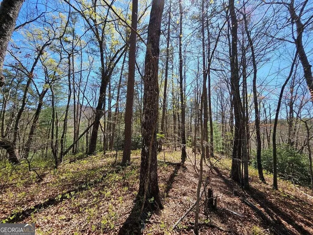 5.20 Deer Crest RD Blue Ridge, GA 30513