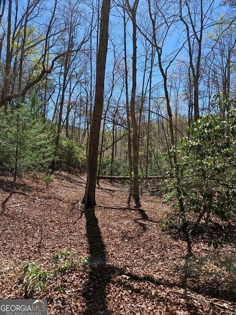 5.20 Deer Crest RD Blue Ridge, GA 30513