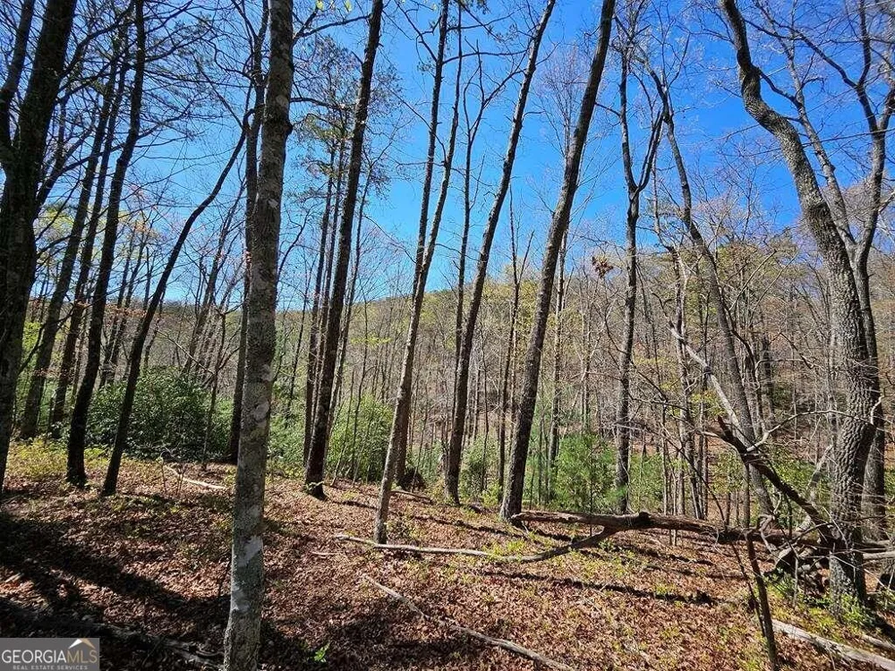 5.20 Deer Crest RD Blue Ridge, GA 30513