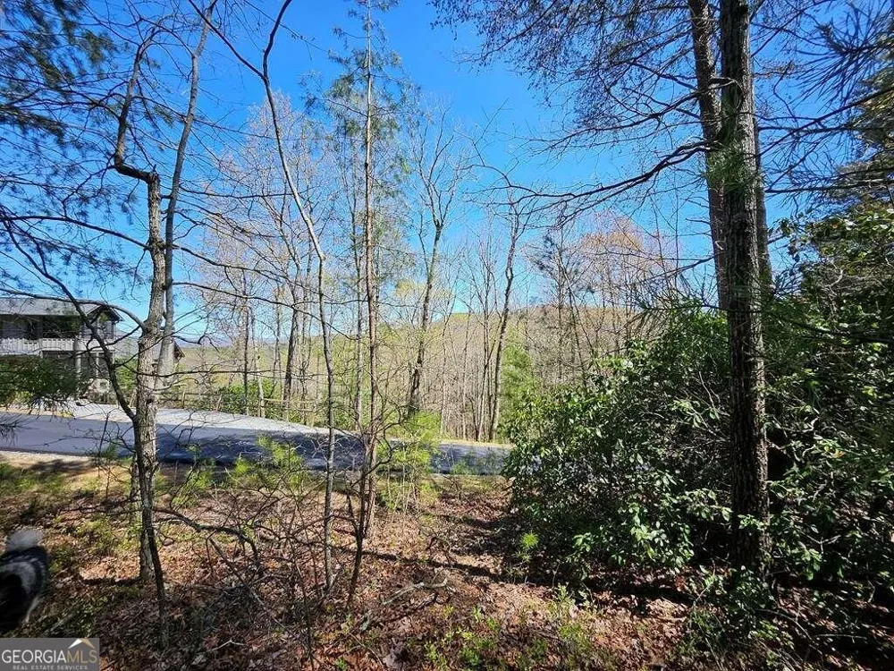 5.20 Deer Crest RD Blue Ridge, GA 30513