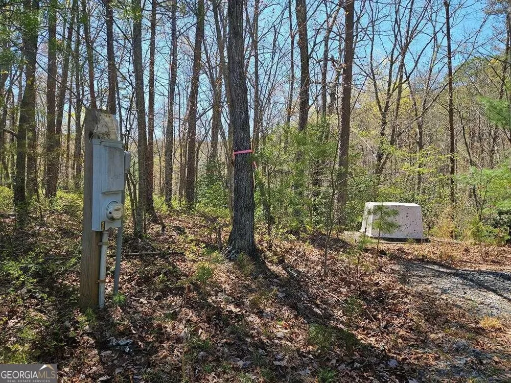 5.20 Deer Crest RD Blue Ridge, GA 30513