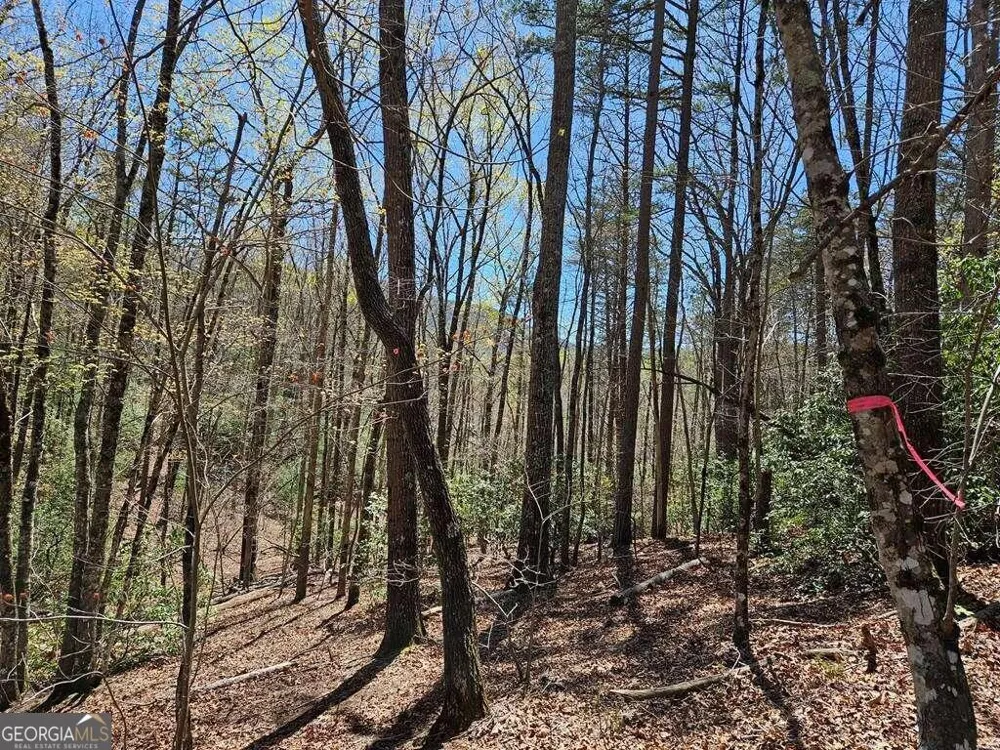 5.20 Deer Crest RD Blue Ridge, GA 30513