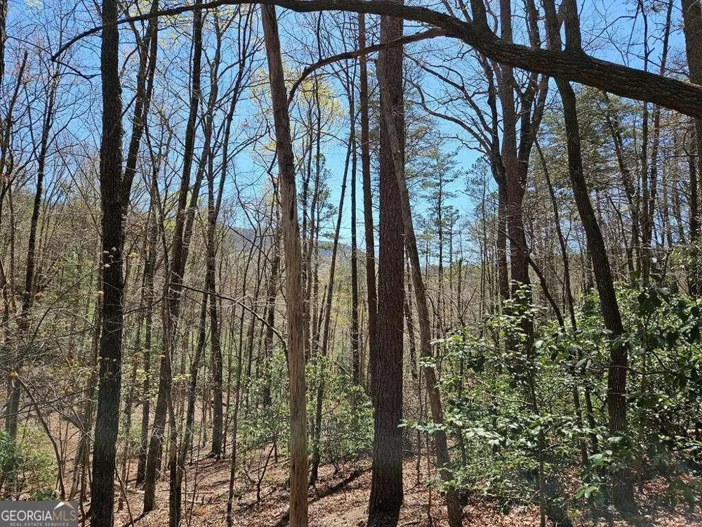5.20 Deer Crest RD Blue Ridge, GA 30513