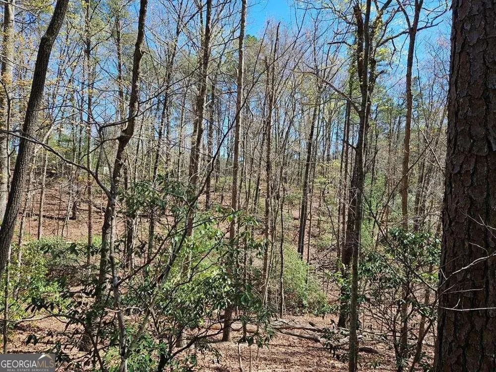 5.20 Deer Crest RD Blue Ridge, GA 30513