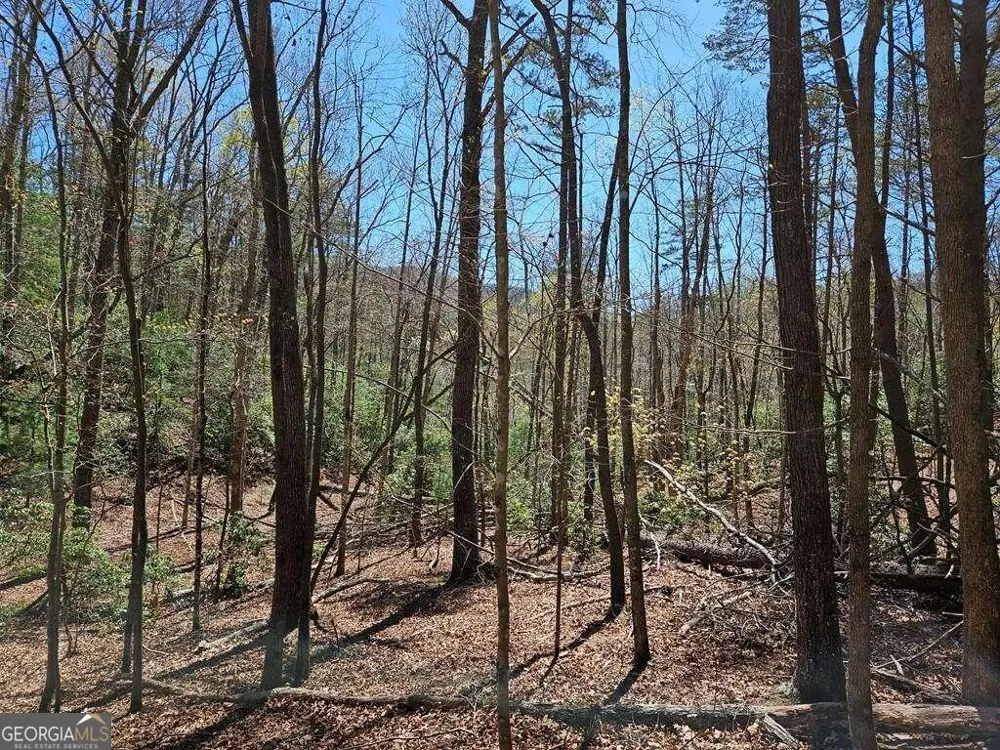 5.20 Deer Crest RD Blue Ridge, GA 30513