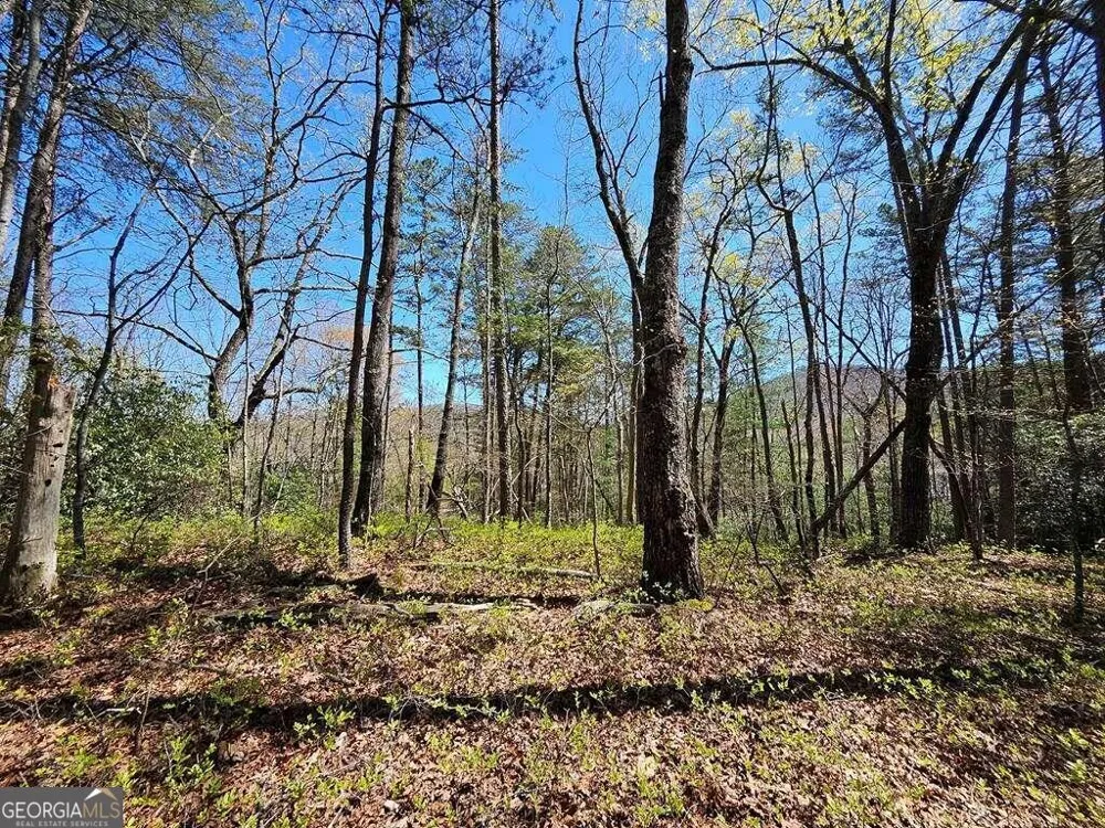 5.20 Deer Crest RD Blue Ridge, GA 30513